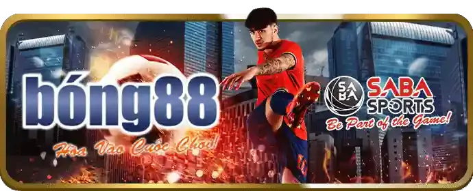 Cá cược thể thao sôi động tại Sunwin